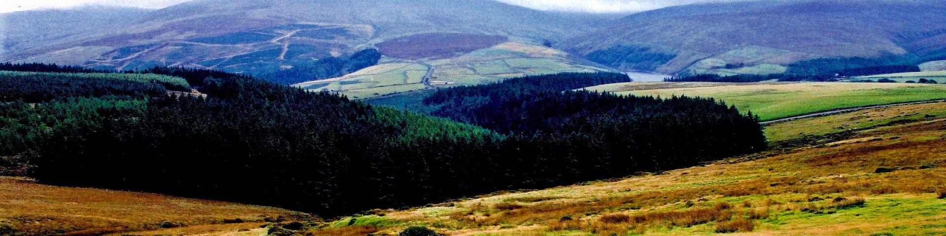 A valley with a river, surrounded by forested hills and open fields.