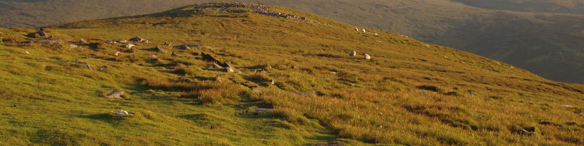A grassy hill with sheep grazing, rocky outcrops, and distant mountains.