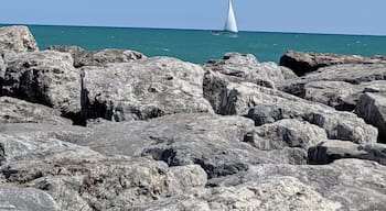 Visit the Kenosha Farmer's Market on Saturday and then take the amazing walk around Simmons Island Park. Beautiful! #kenosha #wisconsin #lakemichigan #sailing #beautiful