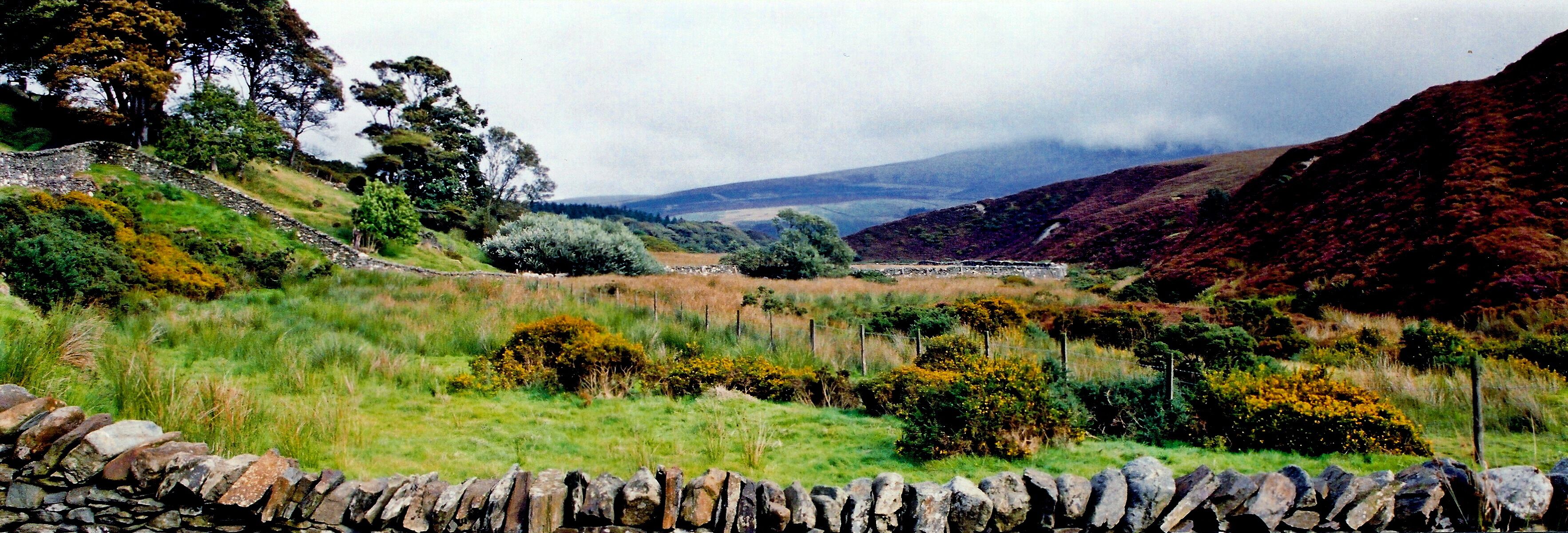 Druidale Road - Oasis-like area near Sulby Reservoir View is to the northeast from an oasis-like area west of Sulby Reservoir.