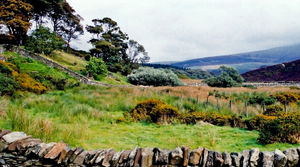 Druidale Road - Oasis-like area near Sulby Reservoir View is to the northeast from an oasis-like area west of Sulby Reservoir.