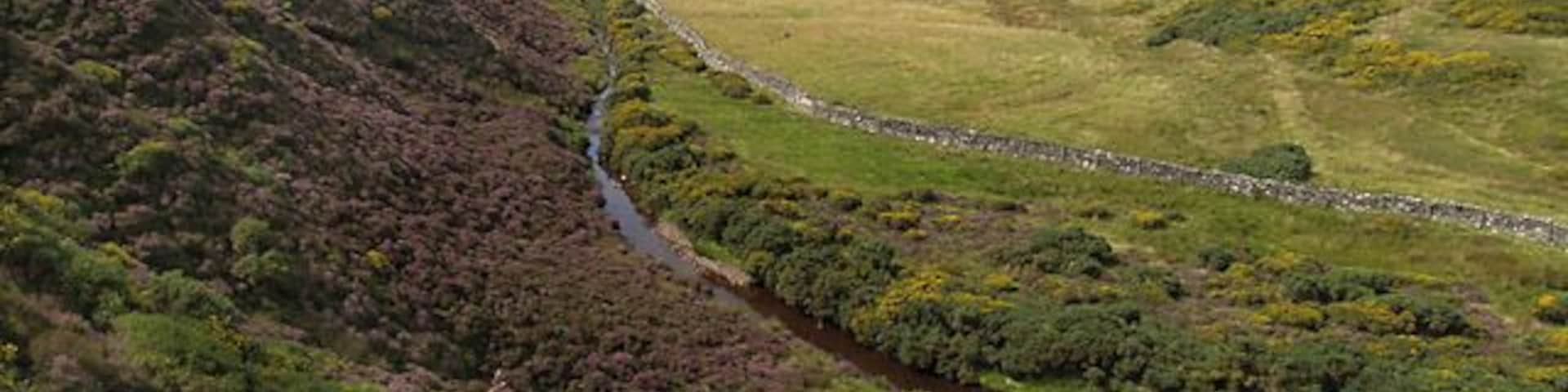 Druidale . Isle of Man. A view up the valley towards the stand of trees at Montpelier and, beyond that, Slieu Freoghane.