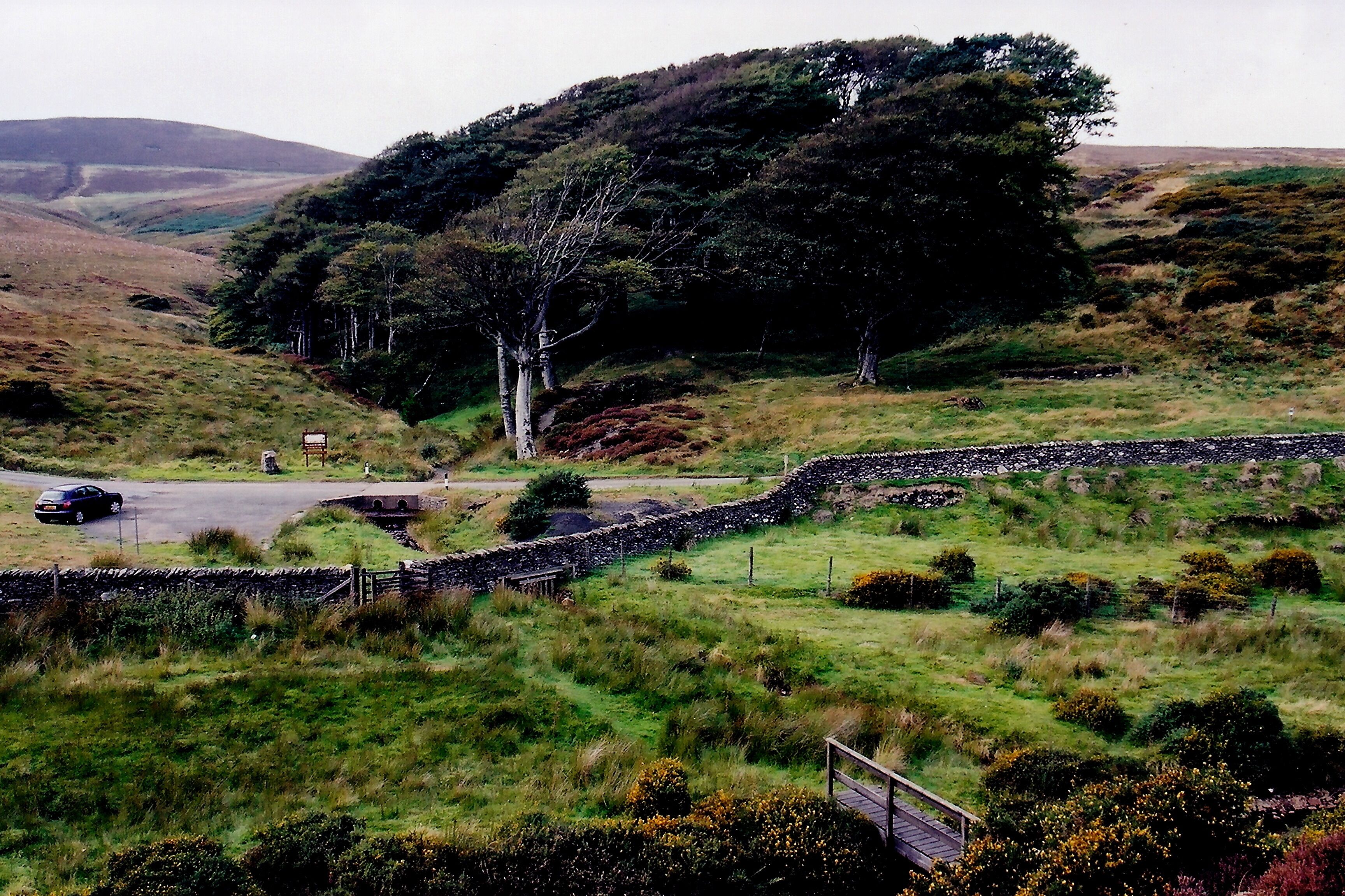 Druidale Road - Southwest of Sulby Reservoir - Oasis View is to the west. When I got to this area, it appeared as if it was an oasis amongst the hillsides, barren of trees, surrounding it. I climbed the hillside next to the parking area to get this photo. A bridge was constructed to replace the ford across the stream below.
