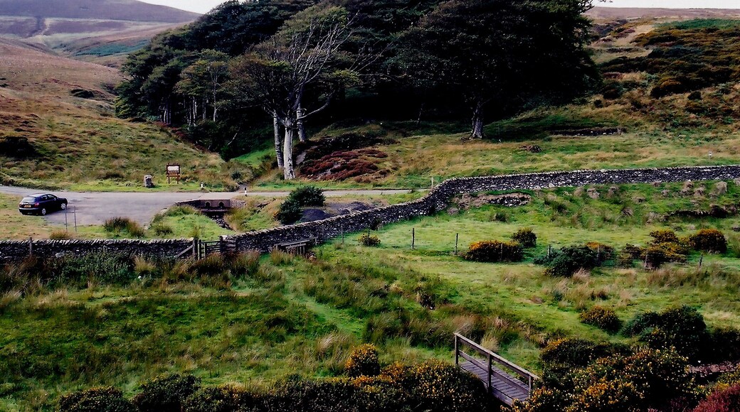 Druidale Road - Southwest of Sulby Reservoir - Oasis View is to the west. When I got to this area, it appeared as if it was an oasis amongst the hillsides, barren of trees, surrounding it. I climbed the hillside next to the parking area to get this photo. A bridge was constructed to replace the ford across the stream below.