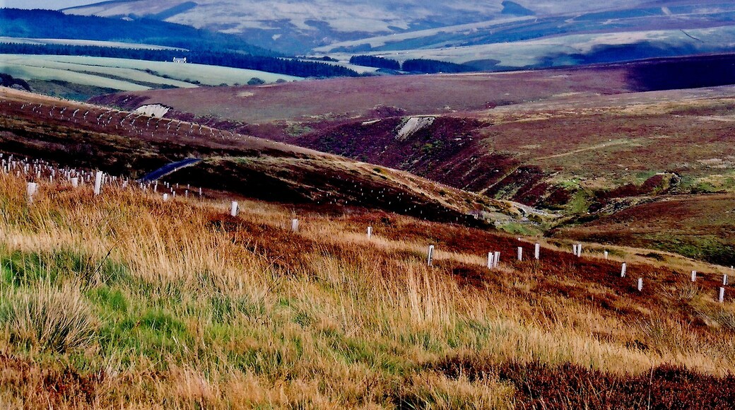 Druidale Road - Southwest of Sulby Reservoir View is to the northwest.