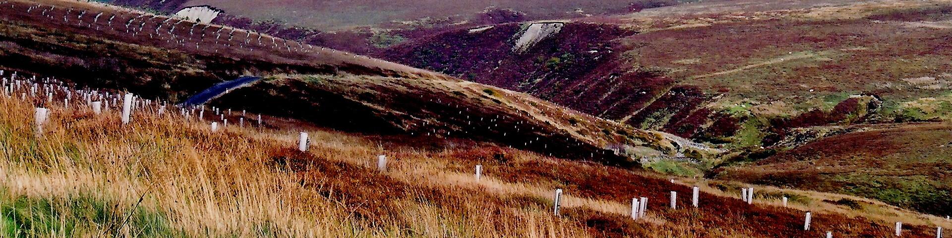 Druidale Road - Southwest of Sulby Reservoir View is to the northwest.