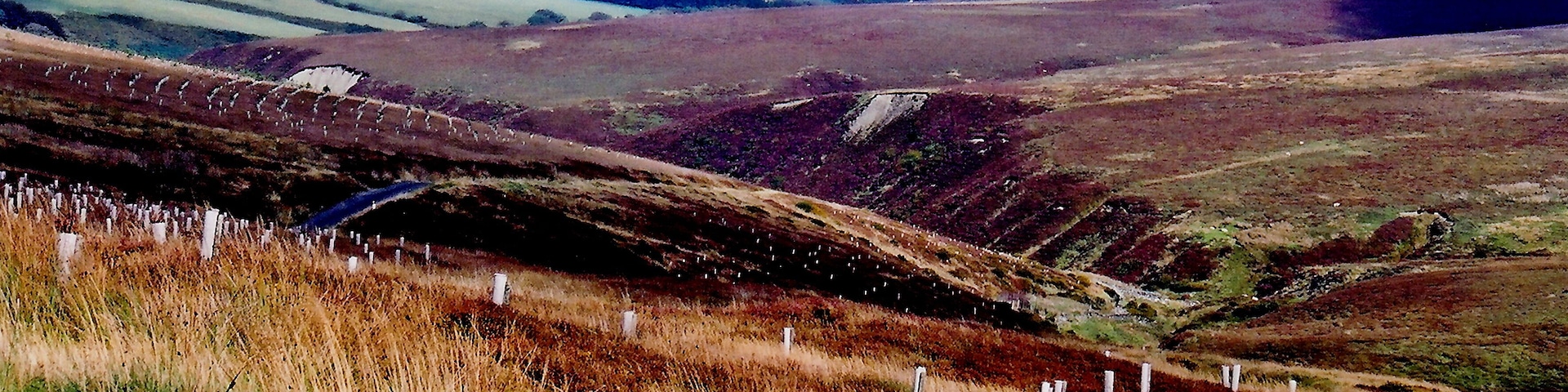 Druidale Road - Southwest of Sulby Reservoir View is to the northwest.