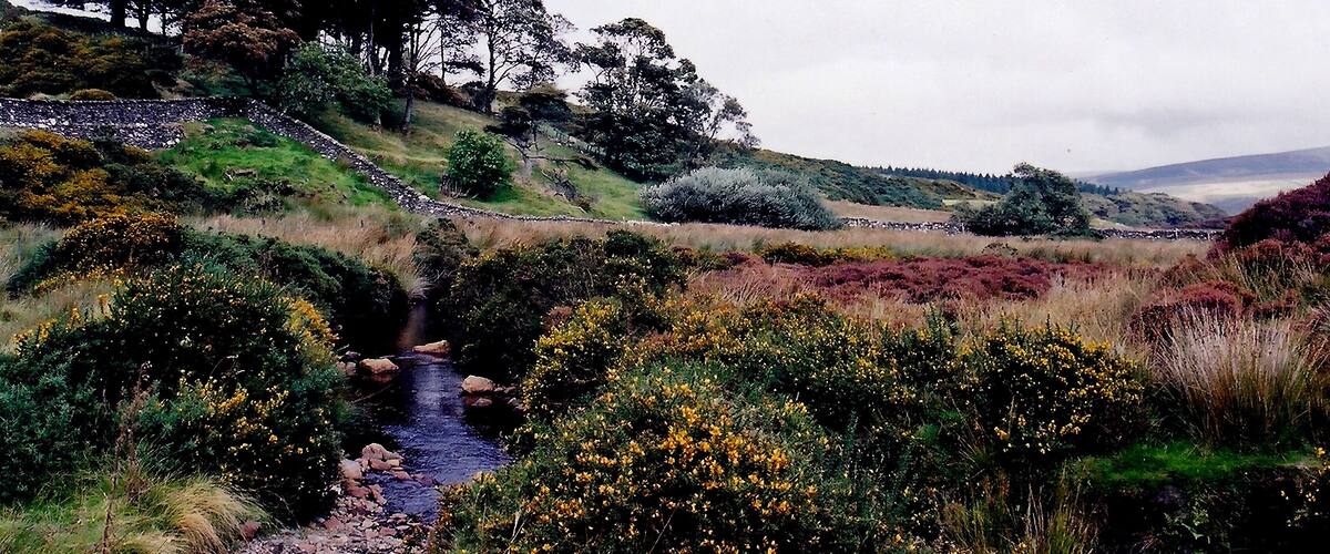 Druidale Road - Southwest of Sulby Reservoir - Oasis View is to the northwest. When I got to this area, it appeared as if it was an oasis amongst the hillsides, barren of trees, surrounding it, especially with the meandering stream shown here. This area was quite photogenic and this became a long stop.