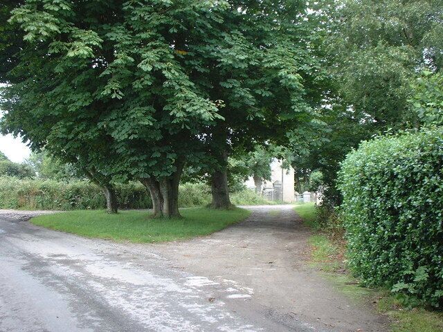 Horse Chestnut trees at the entrance to Ballavarry