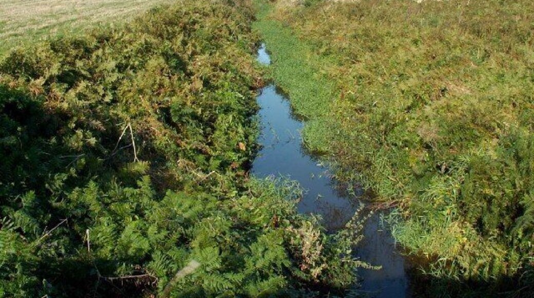 The Lhen Trench between Andreas and Jurby. During the ice-age this was a melt-water channel flowing north to south from the melting ice front. It then largely silted up until it was dug out a couple of hundred years ago in order to drain the curraghs (marshy land) to the south of here. The water now flows (very slowly) northwards and out to sea at the Lhen.