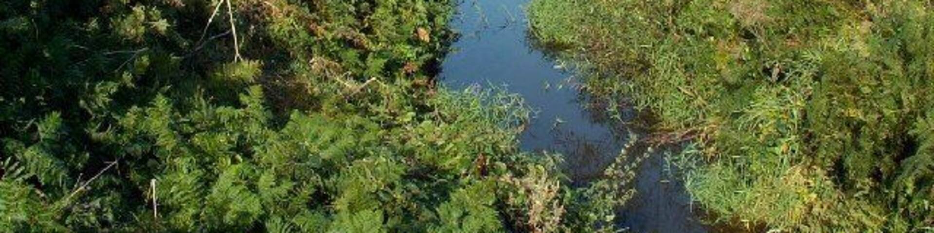 The Lhen Trench between Andreas and Jurby. During the ice-age this was a melt-water channel flowing north to south from the melting ice front. It then largely silted up until it was dug out a couple of hundred years ago in order to drain the curraghs (marshy land) to the south of here. The water now flows (very slowly) northwards and out to sea at the Lhen.