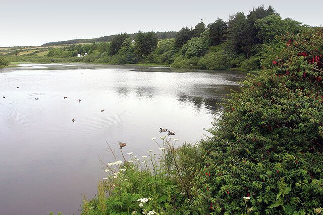 Eairy Dam. An arificial lake (stocked with trout) in the centre of the small village of Eairy ("Shieling") near Foxdale.