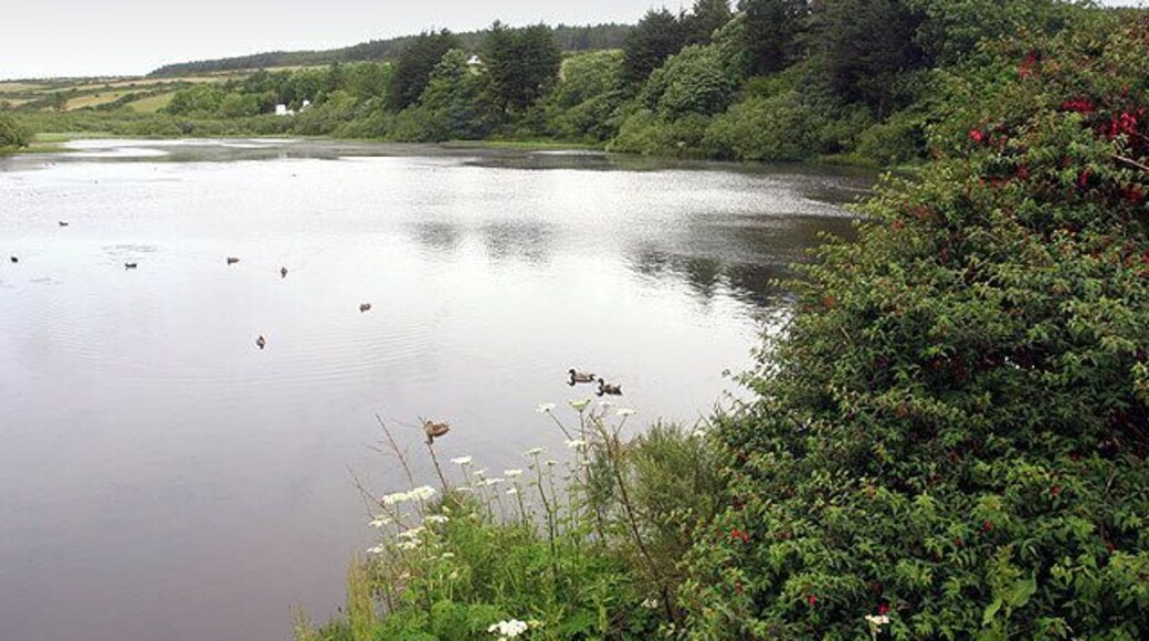 Eairy Dam. An arificial lake (stocked with trout) in the centre of the small village of Eairy ("Shieling") near Foxdale.