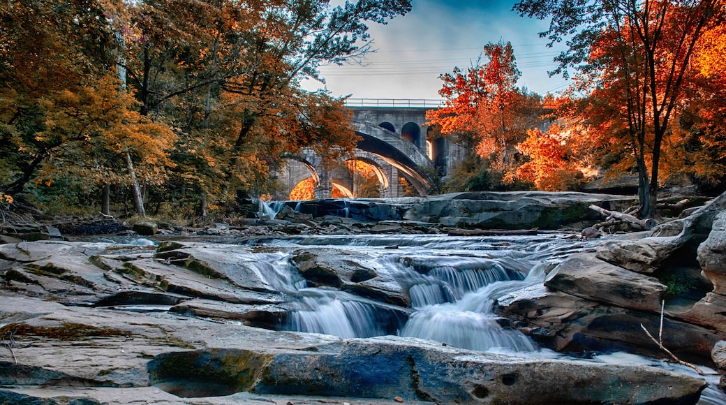 October at Berea Falls, Cleveland Ohio