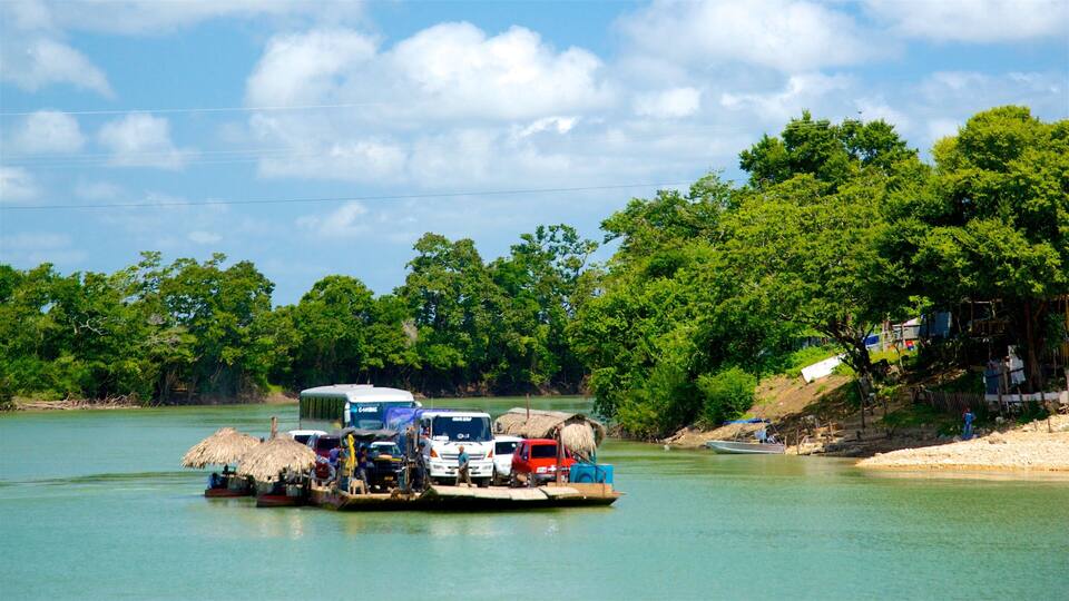 A boat carrying vehicles on a calm river, surrounded by lush green trees and a clear sky.