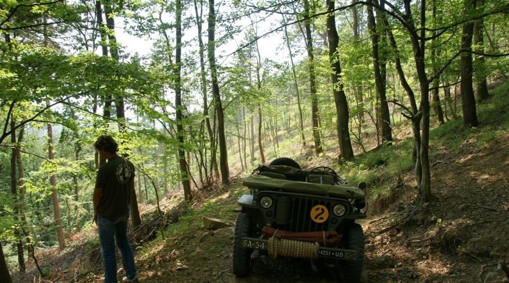 Willys Adventures wild off road