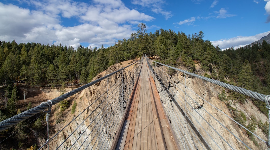 Golden Skybridge in British Columbia, Canada