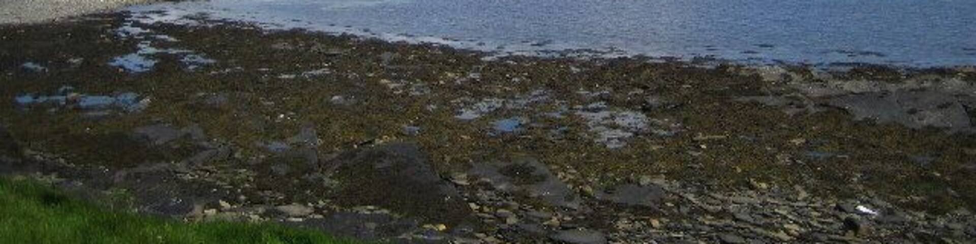 Bay of Greentoft. Eday. Looking from Warness Point