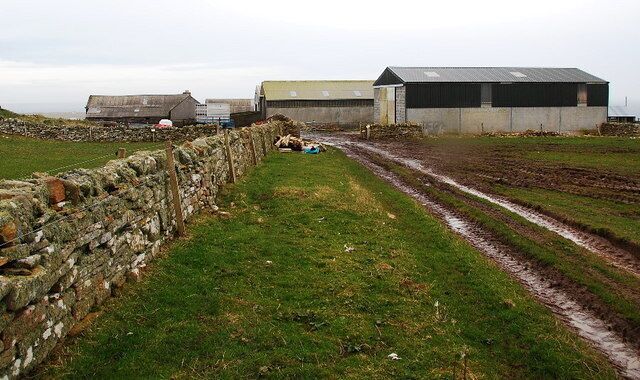 Track to Greentoft Looking roughly SE towards the farm complex.