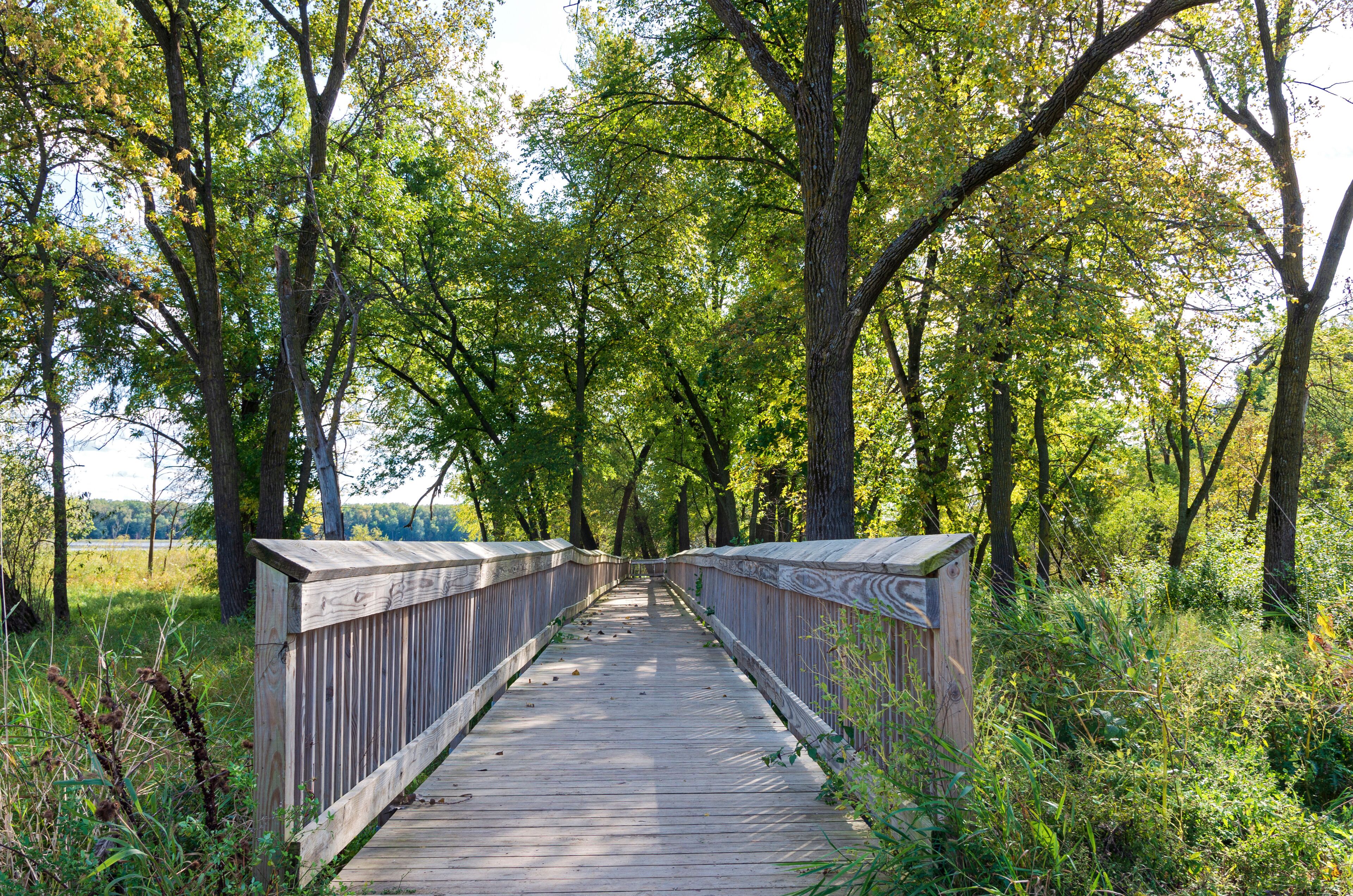 Boardwalk and scenery in bloomington wildlife refuge