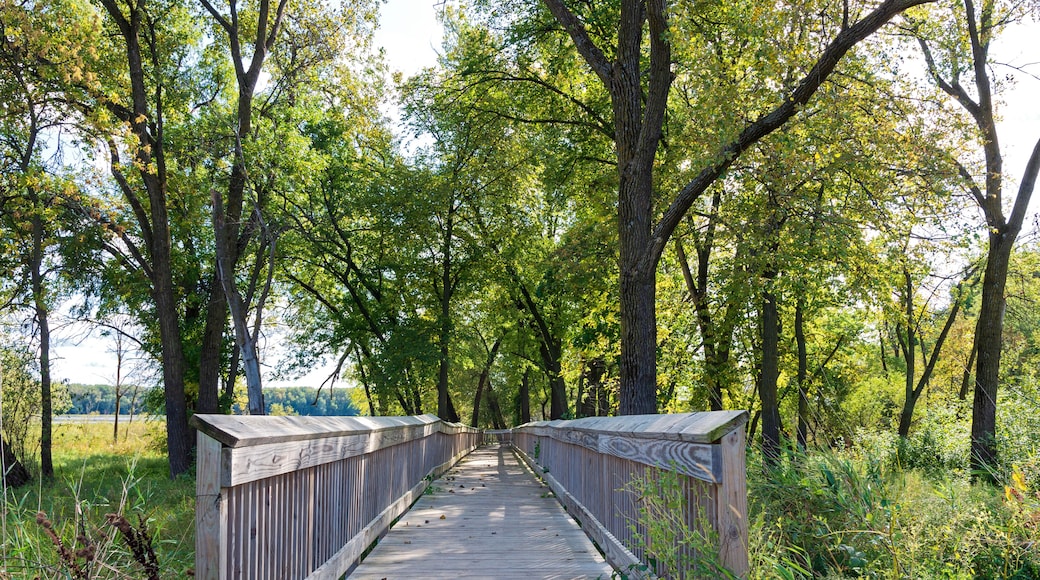 Boardwalk and scenery in bloomington wildlife refuge
