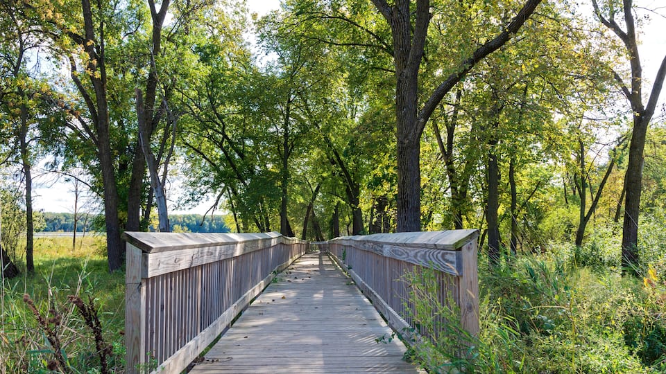 Boardwalk and scenery in bloomington wildlife refuge