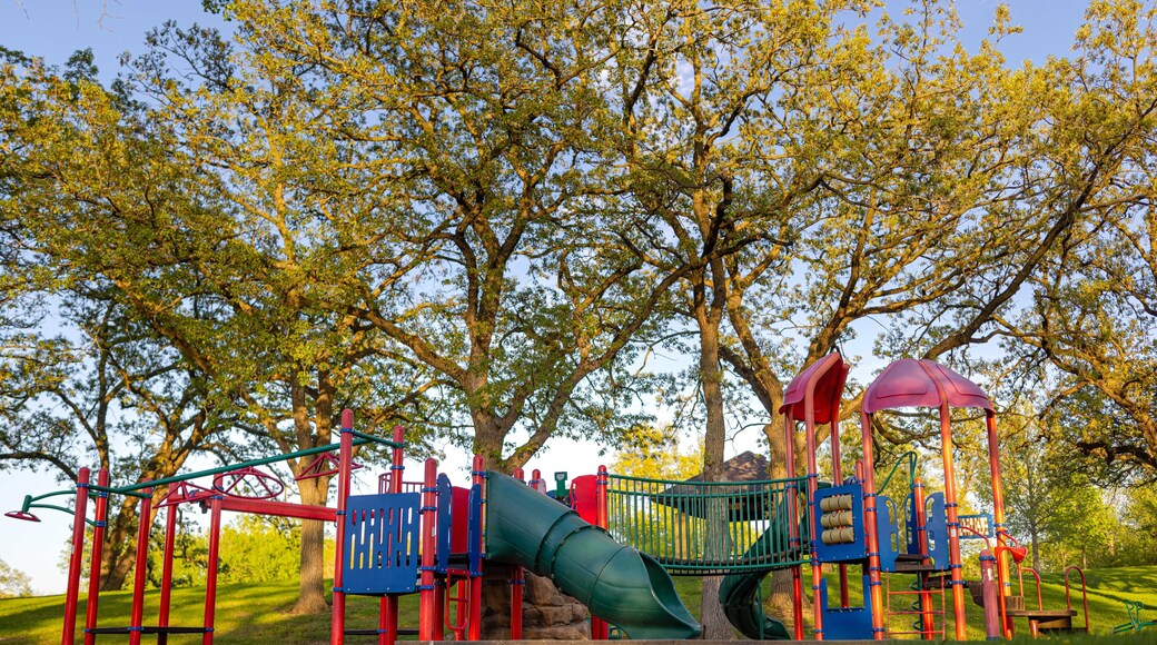 Minnesota Neighborhood Playground in Suburban Park, Children Play Space, Jungle Gym, Active Kids, Playground Safety