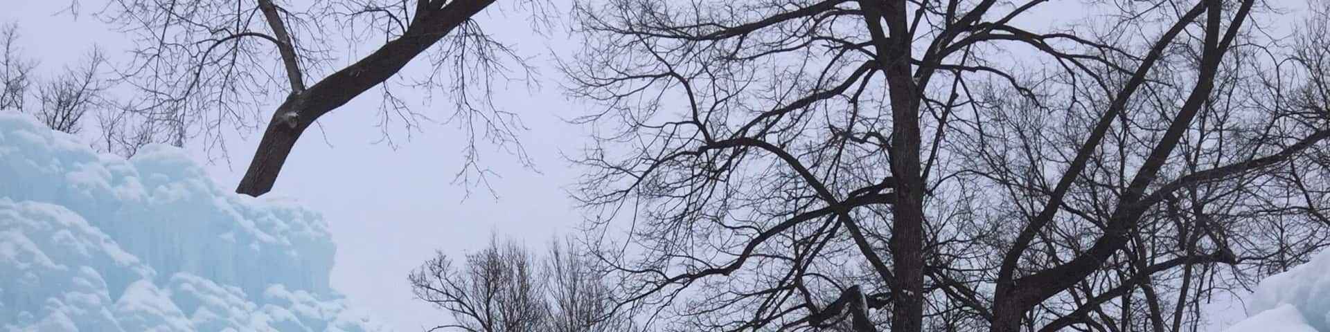 Every winter these ice castles go up. Some fun tunnels and caverns to explore.