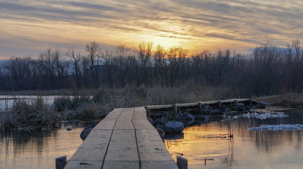 Brilliant sunset over Purgatory Creek in Minnesota