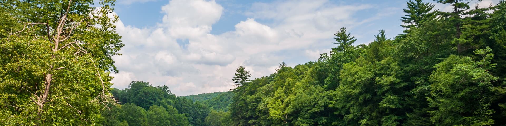 River at Cook Forest State Park and Clarion River Lands in scenic northwestern Pennsylvania