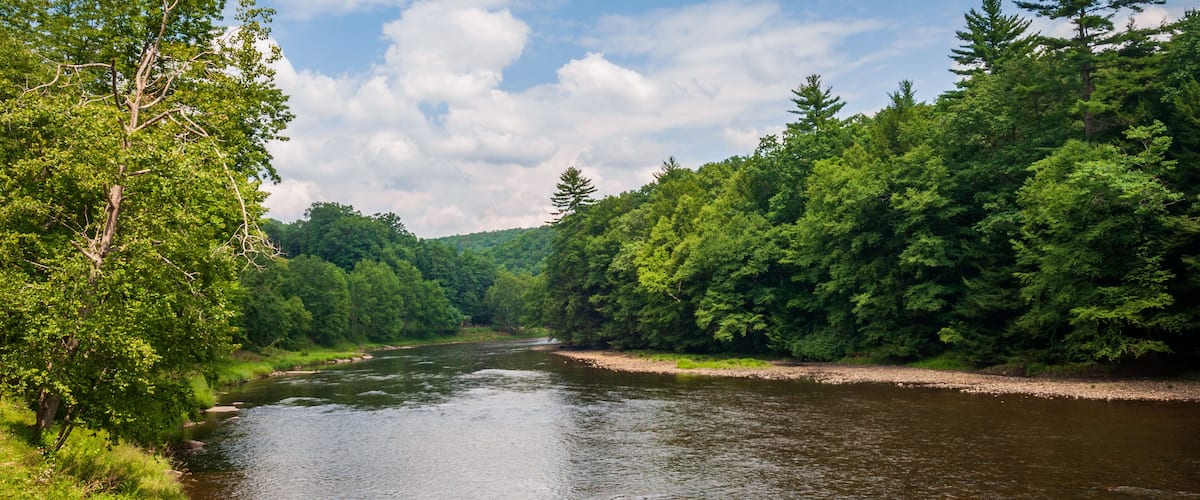 A river flowing through a densely forested area with a clear sky.