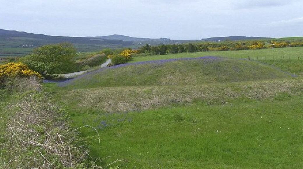 The Broogh Fort, Santon - bluebell time. A motte, a henge, a ringfort? The Broogh Fort could be any of these, but even though it is not wooded there is a fabulous display of native bluebells each spring.