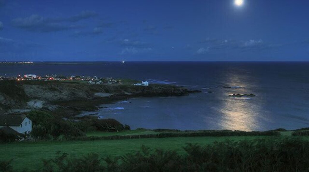 Perwick Bay An autumn moonlight view.