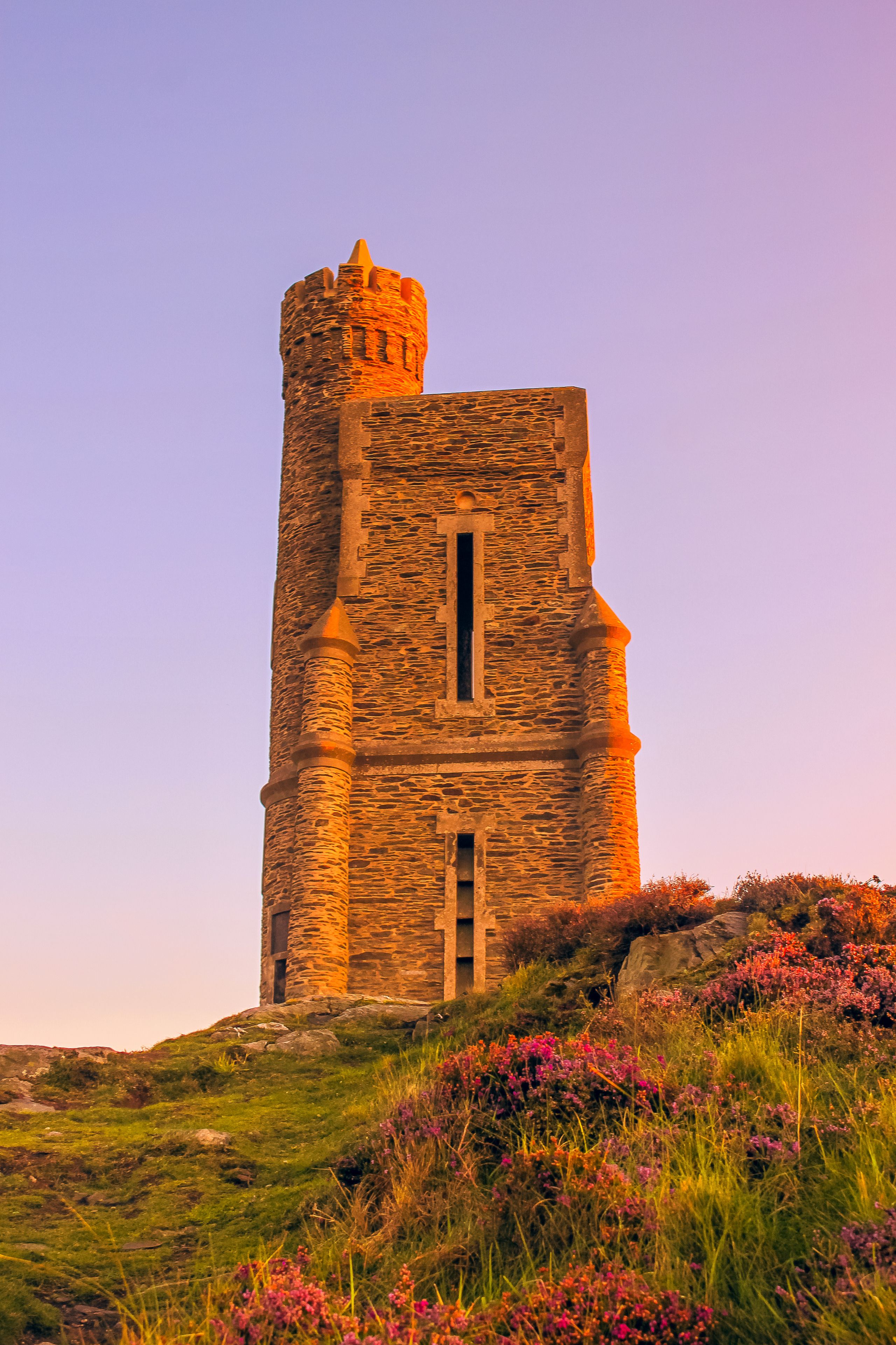 A stone tower with a narrow window, surrounded by grass and purple flowers.