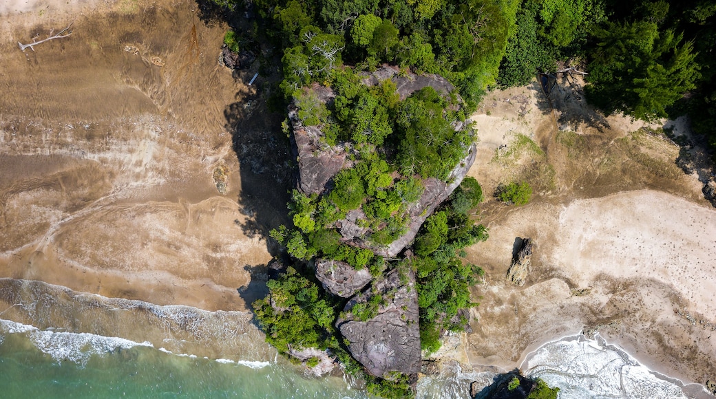 Vista aérea de una zona costera con playa de arena, afloramientos rocosos y vegetación verde densa.