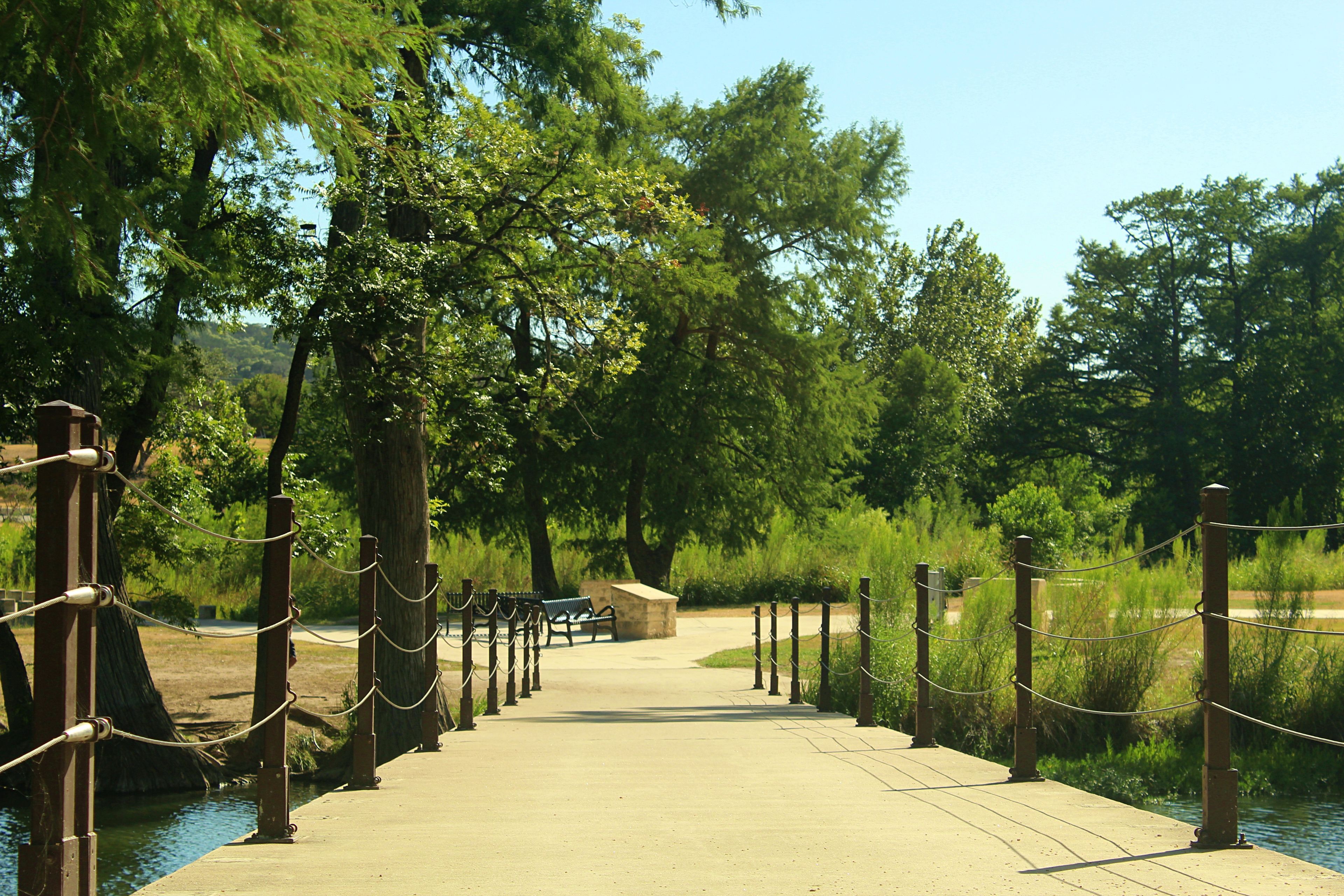 Scenic nature landscape photograph of the Guadalupe River in Kerrville, Texas.