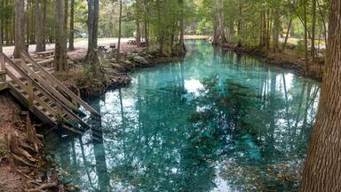 Little Devil's Spring on the Santa Fe River, Gilchrist County, Florida