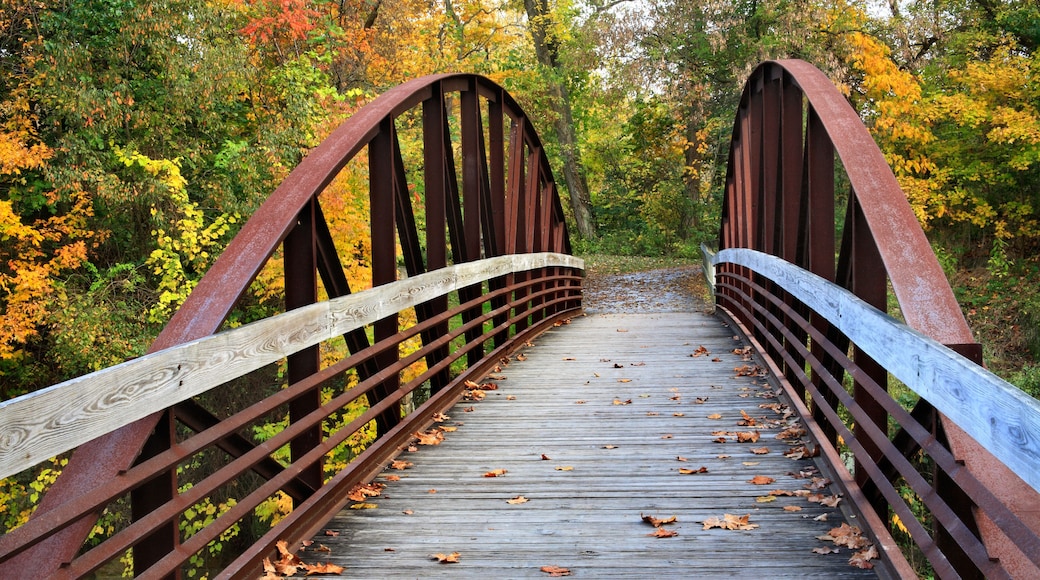 Erie Canal Towpath Trail