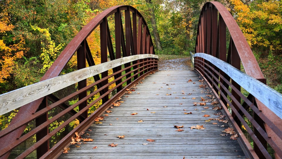 A wooden bridge with metal railings in a forested area with autumn foliage.