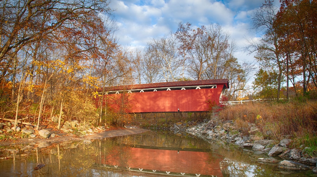 Everett Covered Bridge Spring