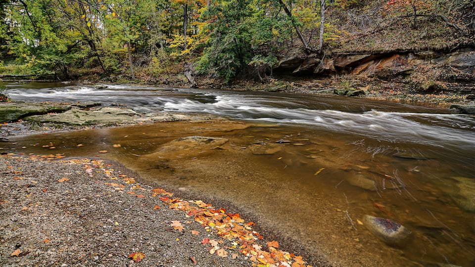 A river flowing through a forest with autumn leaves on the ground.