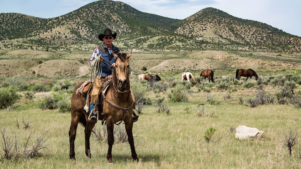 A cowboy on horseback in a grassy field with mountains in the background.