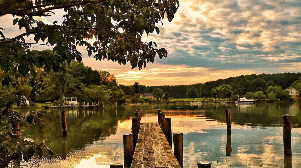 Irish creek near St Michael’s Maryland. View from my American family’s dock. I wish I was back there now. Taken at sunrise
