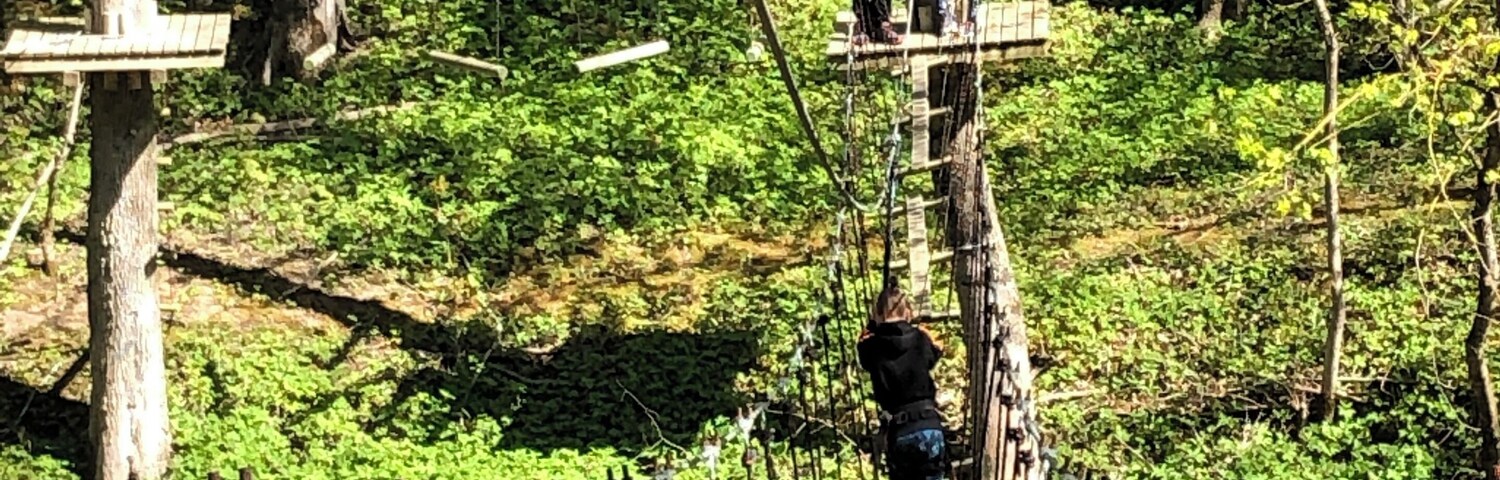Lontova, climbing from tree to tree.
