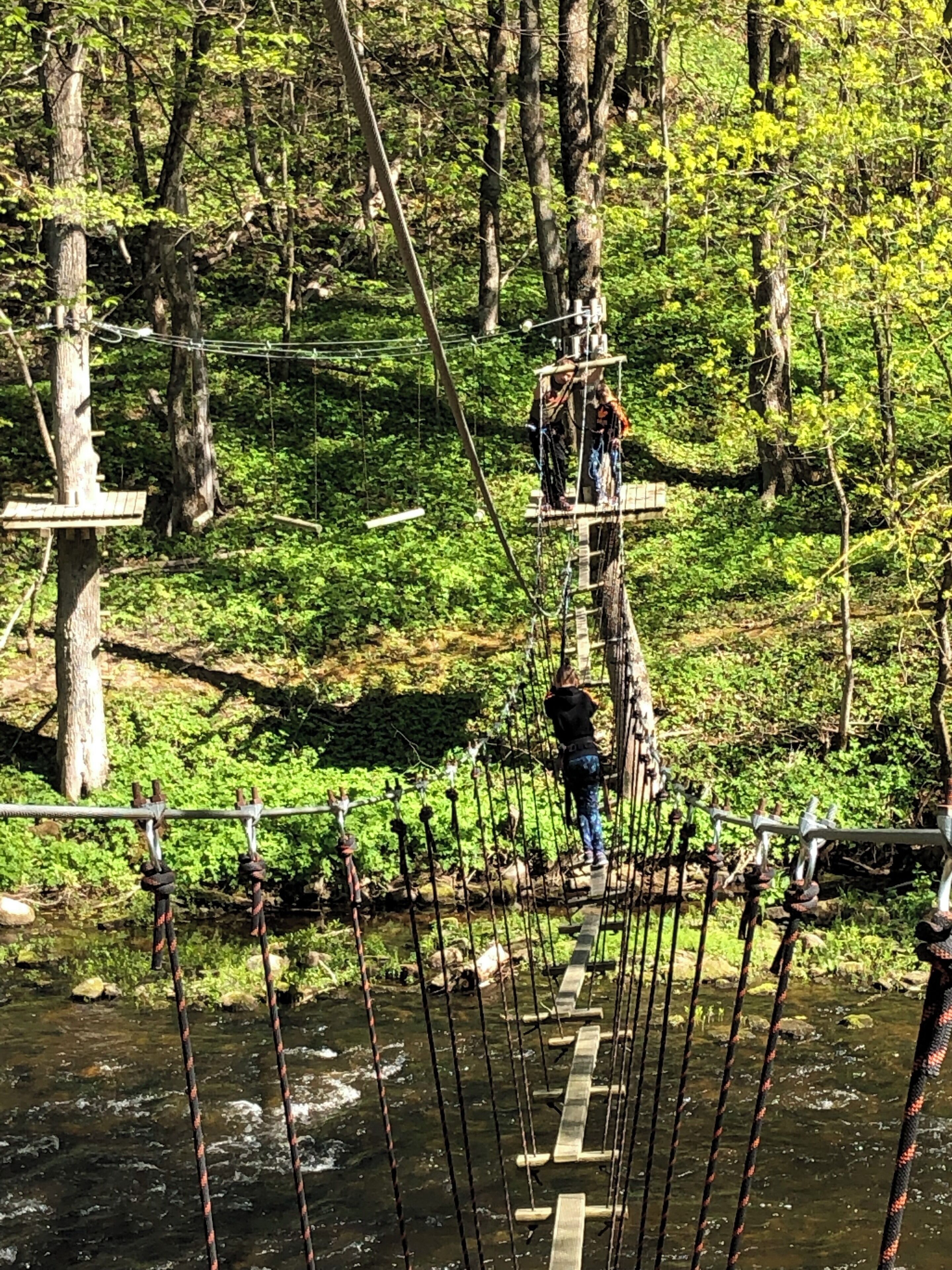 A rope bridge over a stream in a forested area.