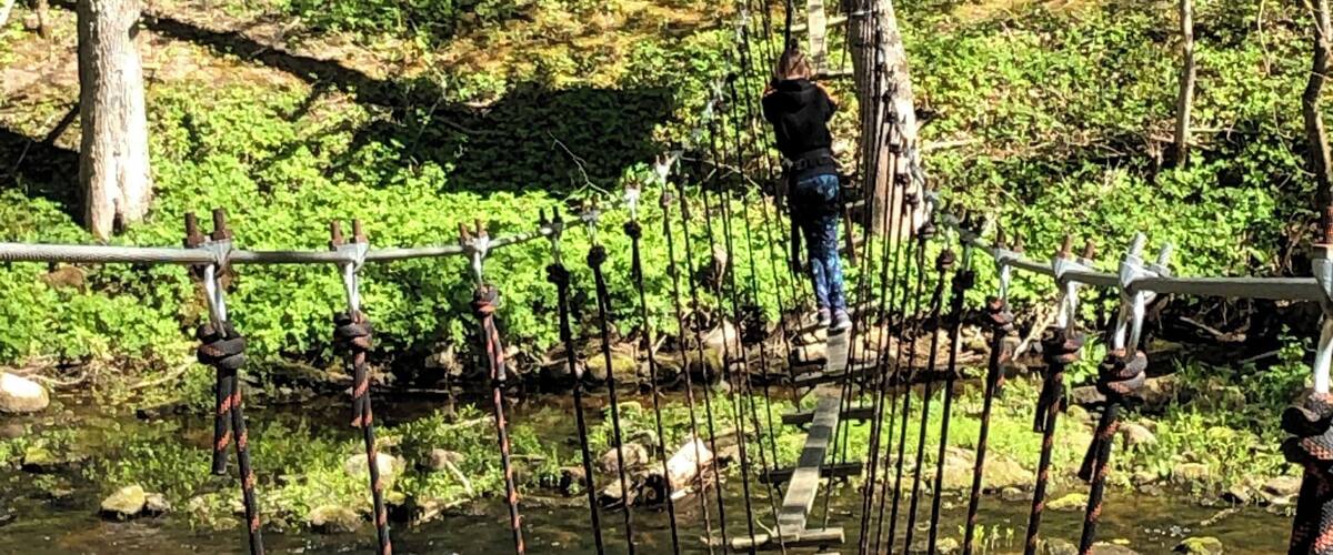 A rope bridge over a stream in a forested area.