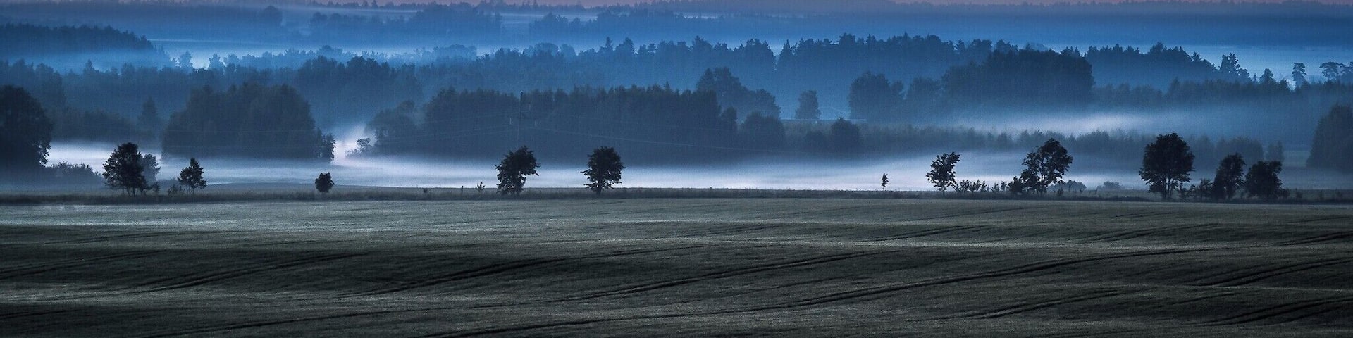 A great view down the alley at night and also day.
#BVStrove #estonia #kiisa #tartumaa #otepää #pangodi #nature #landscape
