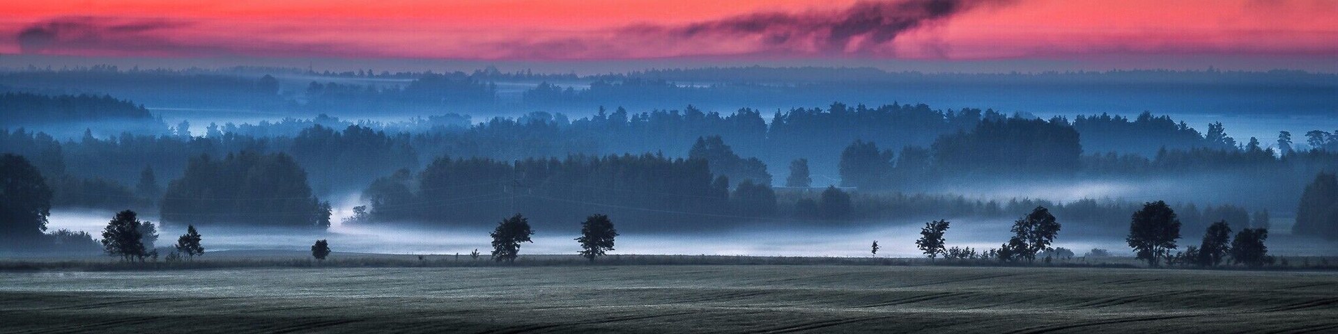 A great view down the alley at night and also day.
#BVStrove #estonia #kiisa #tartumaa #otepÀÀ #pangodi #nature #landscape