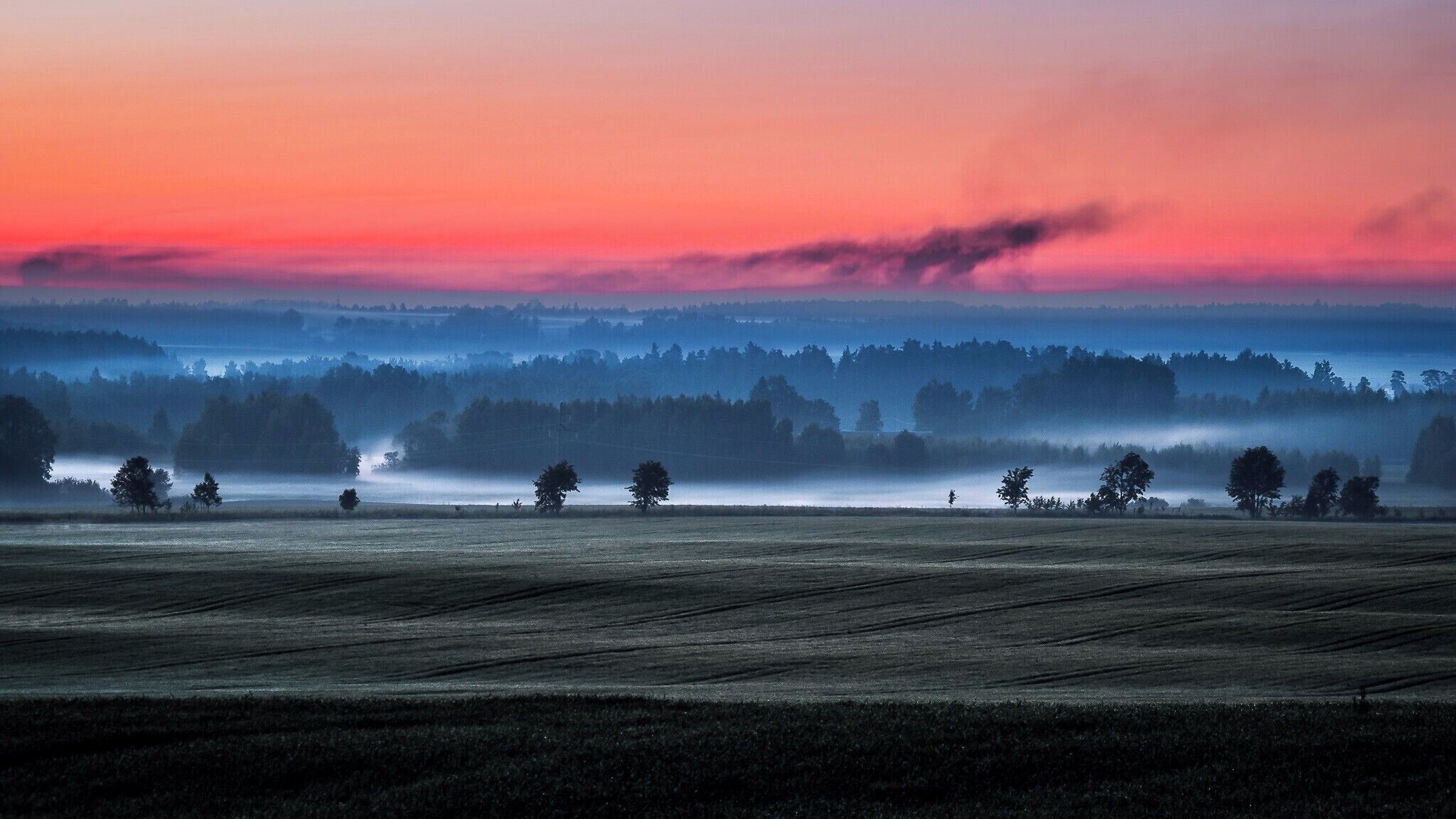 A misty landscape with a sunrise or sunset, fields, and a line of trees in the distance.