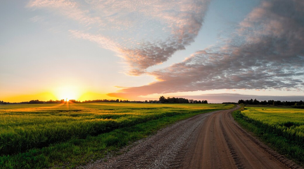 A nice winding road between two fields. Good for sunset shots. I find the interplay between the road and clouds fascinating.
I'd like get out of Estonia, but lack of funds has always kept me back. Also, I find it very difficult to make any money with photography, which leads me to focus on other things: work. Going to Crete would be cool, encouraging and refreshing.
#BvSCrete